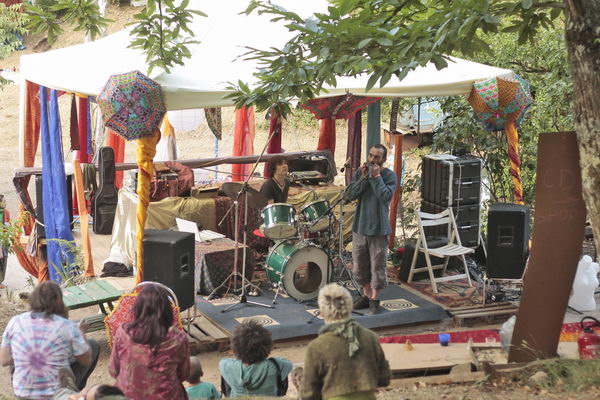 musicien 2011